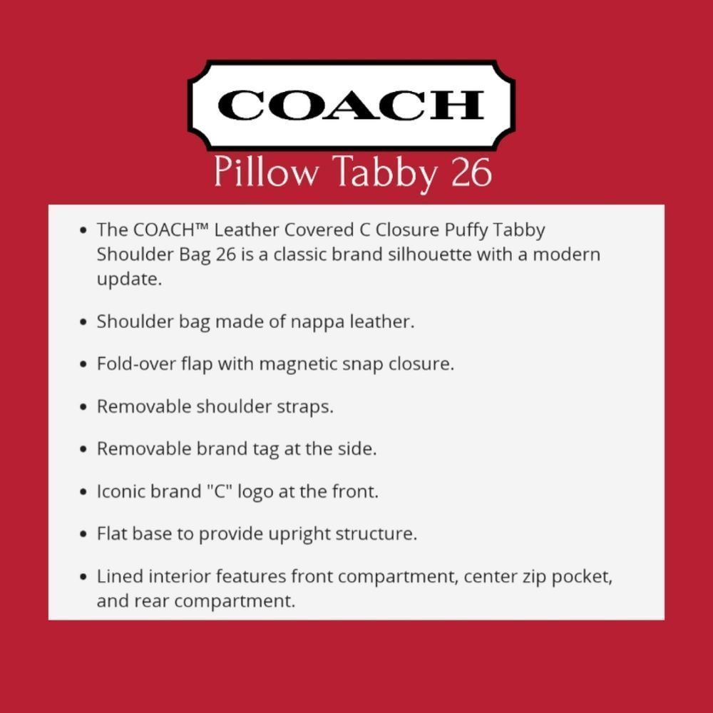 RETAIL Coach Pillow Tabby 26 - Picture 12 of 16